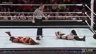 Nikki Bella vs Paige Privately 3 23 15.